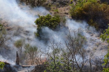 Yaz yangın, Güney İtalya.