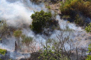 Yaz yangın, Güney İtalya.