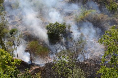 Yaz yangın, Güney İtalya.
