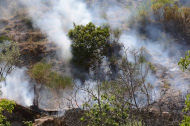 Yaz yangın, Güney İtalya.