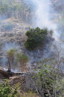 Yaz yangın, Güney İtalya.