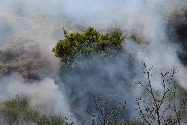 Yaz yangın, Güney İtalya.