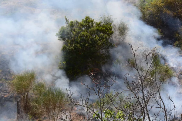 Yaz yangın, Güney İtalya.
