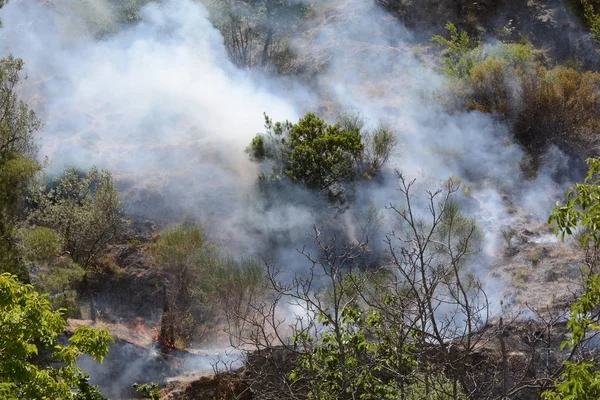 Yaz yangın, Güney İtalya.