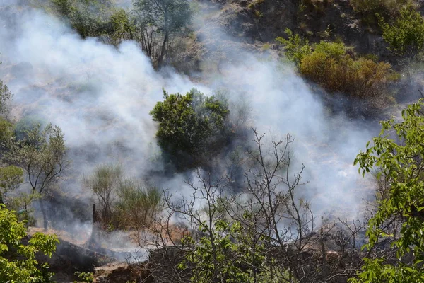 Yaz yangın, Güney İtalya.