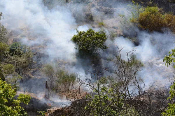 Yaz yangın, Güney İtalya.