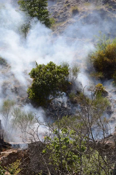 Yaz yangın, Güney İtalya.