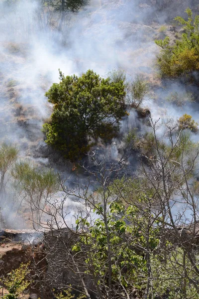 Yaz yangın, Güney İtalya.