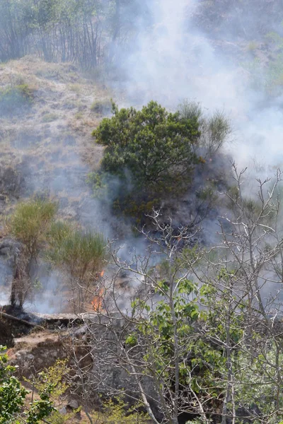 Yaz yangın, Güney İtalya.