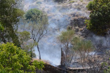 Yaz yangın, Güney İtalya.
