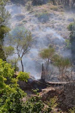 Yaz yangın, Güney İtalya.