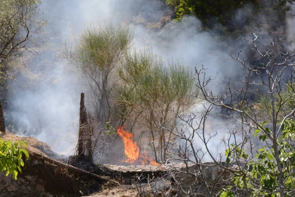Yaz yangın, Güney İtalya.