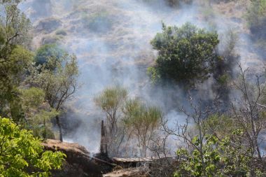 Yaz yangın, Güney İtalya.