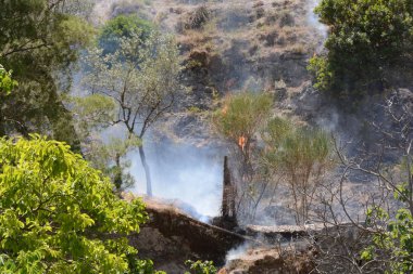Yaz yangın, Güney İtalya.