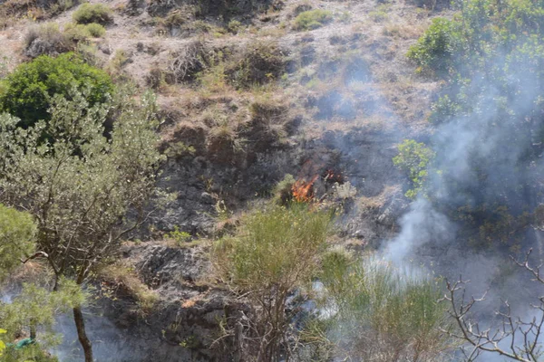 Yaz yangın, Güney İtalya.