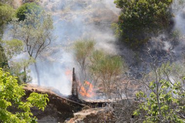 Yaz yangın, Güney İtalya.