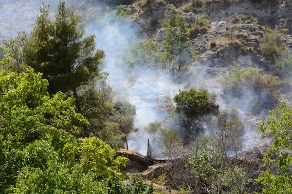 Yaz yangın, Güney İtalya.