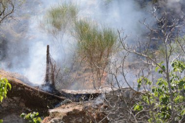 Yaz yangın, Güney İtalya.