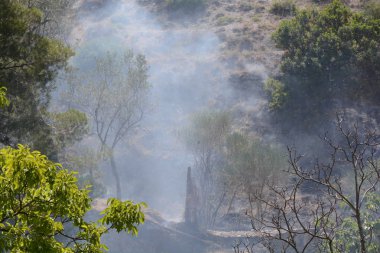 Yaz yangın, Güney İtalya.
