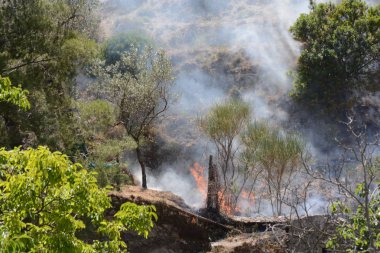 Yaz yangın, Güney İtalya.