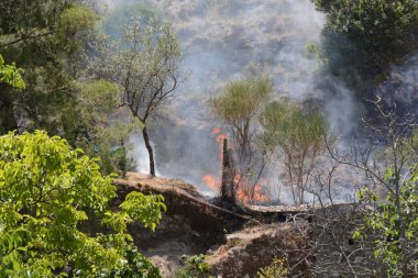 Yaz yangın, Güney İtalya.