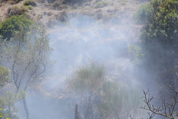 Yaz yangın, Güney İtalya.