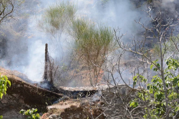 Yaz yangın, Güney İtalya.