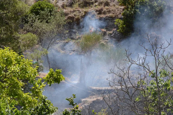 Yaz yangın, Güney İtalya.