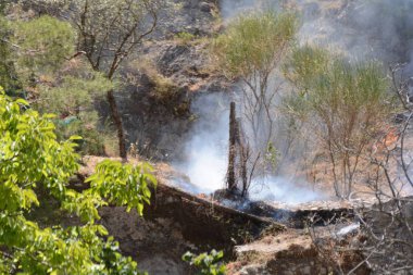 Yaz yangın, Güney İtalya.