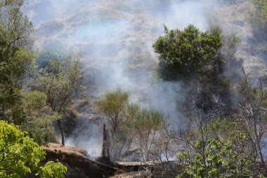 Yaz yangın, Güney İtalya.