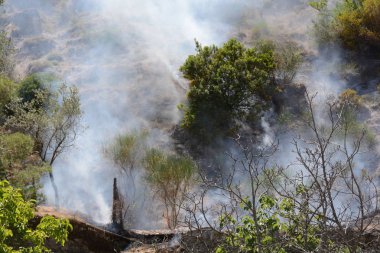 Yaz yangın, Güney İtalya.