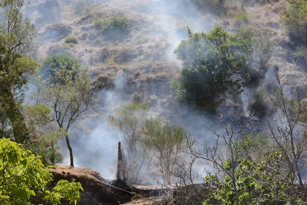 Yaz yangın, Güney İtalya.