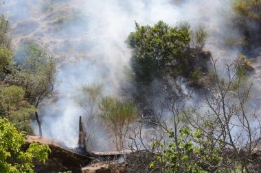 Yaz yangın, Güney İtalya.