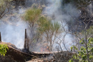 Yaz yangın, Güney İtalya.