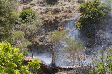Yaz yangın, Güney İtalya.