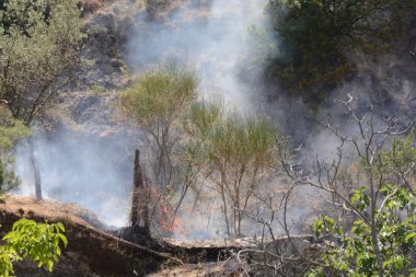 Yaz yangın, Güney İtalya.