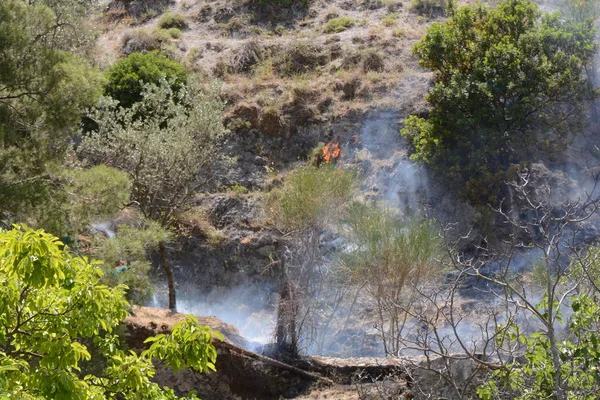 Yaz yangın, Güney İtalya.