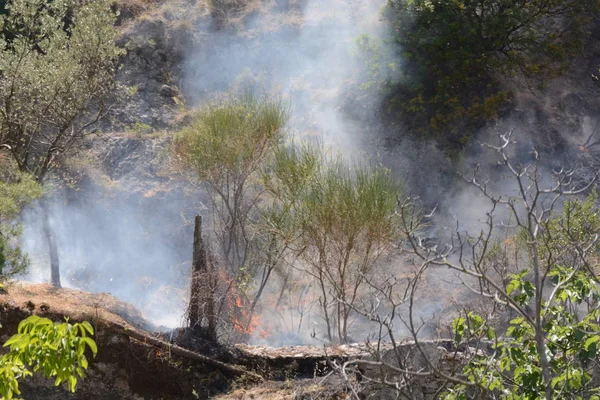 Yaz yangın, Güney İtalya.