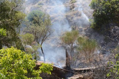 Yaz yangın, Güney İtalya.