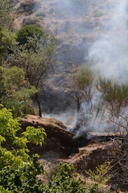 Yaz yangın, Güney İtalya.