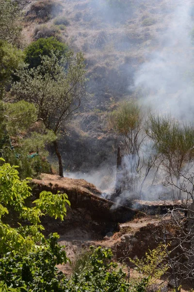 Yaz yangın, Güney İtalya.