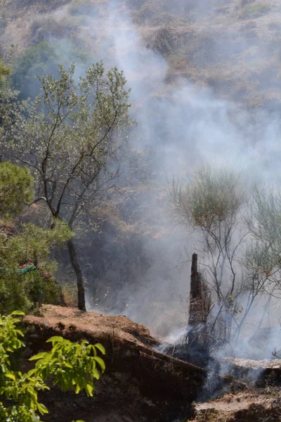 Yaz yangın, Güney İtalya.