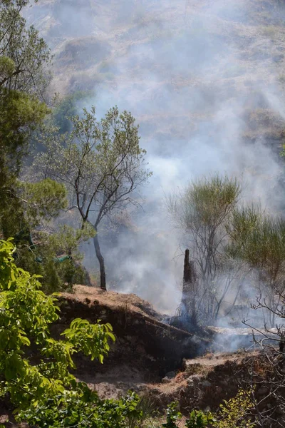 Yaz yangın, Güney İtalya.