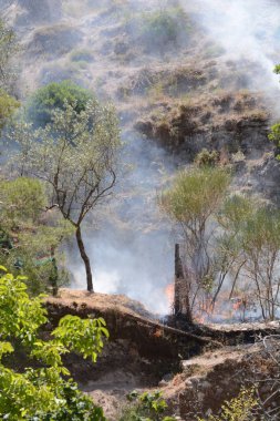 Yaz yangın, Güney İtalya.