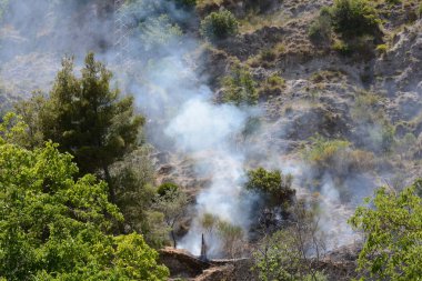 Yaz yangın, Güney İtalya.