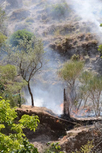Yaz yangın, Güney İtalya.
