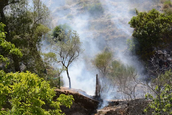 Yaz yangın, Güney İtalya.