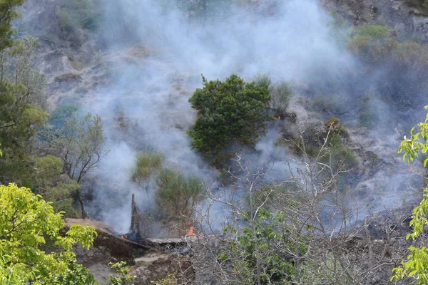 Yaz yangın, Güney İtalya.