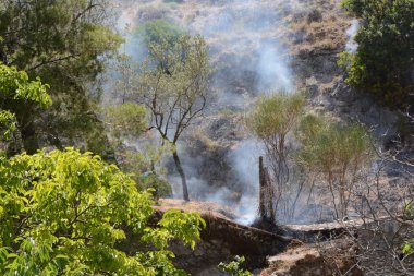 Yaz yangın, Güney İtalya.