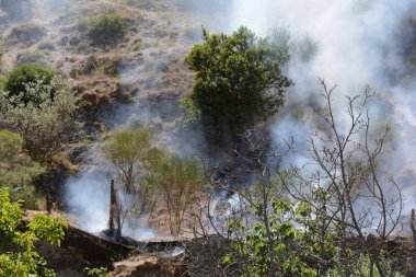 Yaz yangın, Güney İtalya